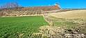 20230110_150241 - Dalla terra... il grano